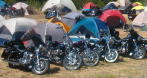 Redwoodrun2005