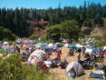 Redwoodrun2005