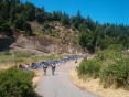 Redwoodrun2005