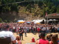 Redwoodrun2005