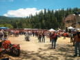 Redwoodrun2005