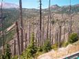 mt st helens