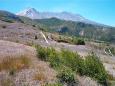 mt st helens